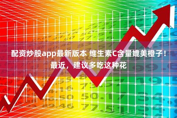 配资炒股app最新版本 维生素C含量媲美橙子！最近，建议多吃这种花