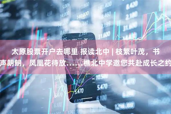 太原股票开户去哪里 报读北中 | 枝繁叶茂，书声朗朗，凤凰花待放……樵北中学邀您共赴成长之约